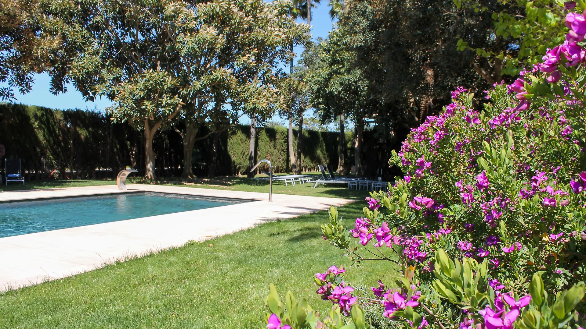 פלמה דה מיורקה Hotel Son Moli Country House ספרד