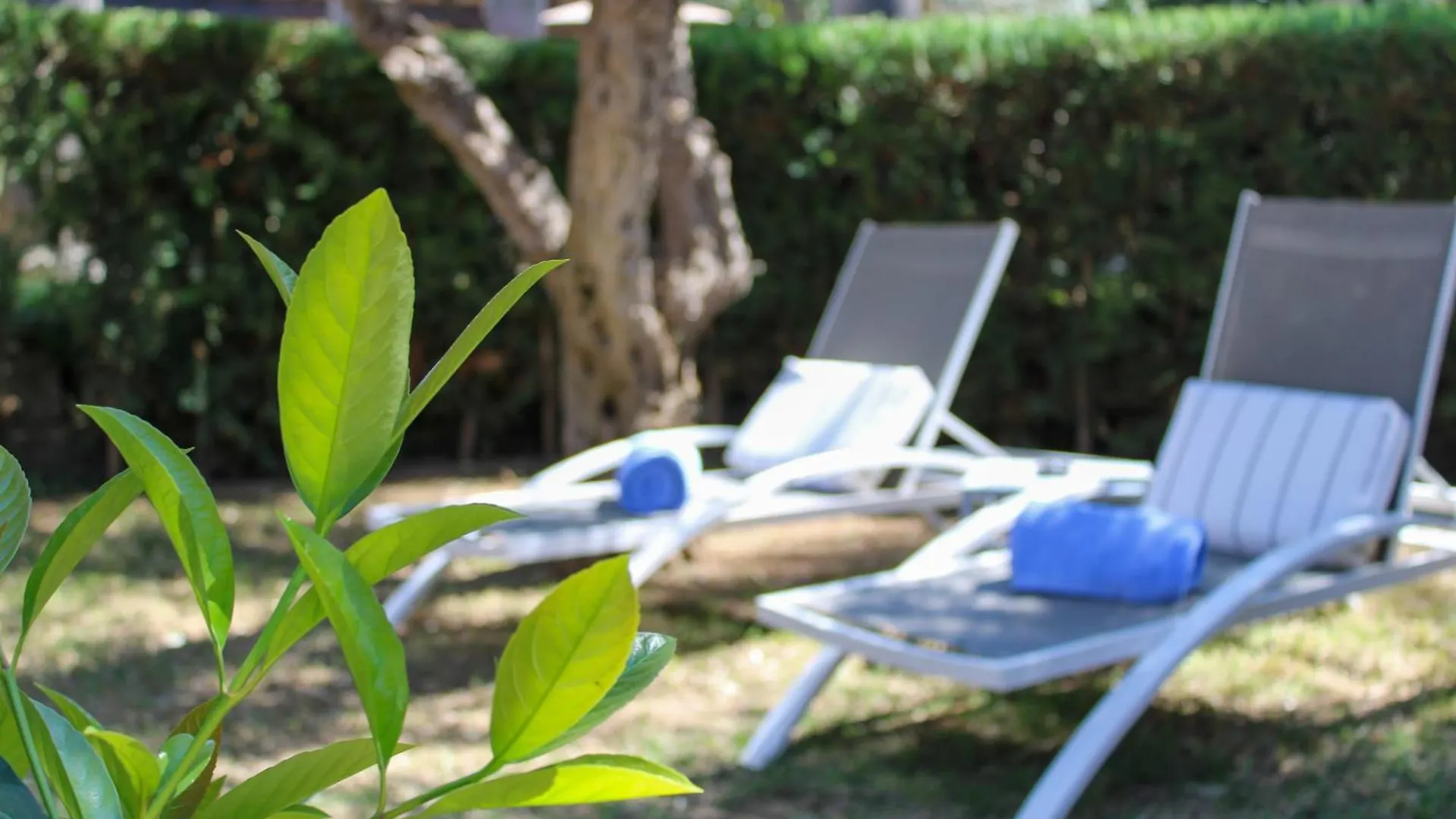 Hotel Son Moli Country House Palma de Mallorca